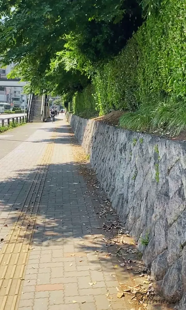 名古屋熱田神宮 あつたじんぐう Nagoya Atsuta Jingu - 前往熱田神宮的路