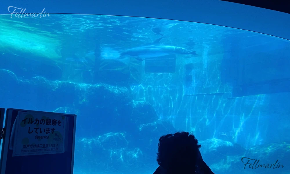 名古屋港水族館 Nagoya Aqua なごやこうすいぞくかん 北館二樓海豚池