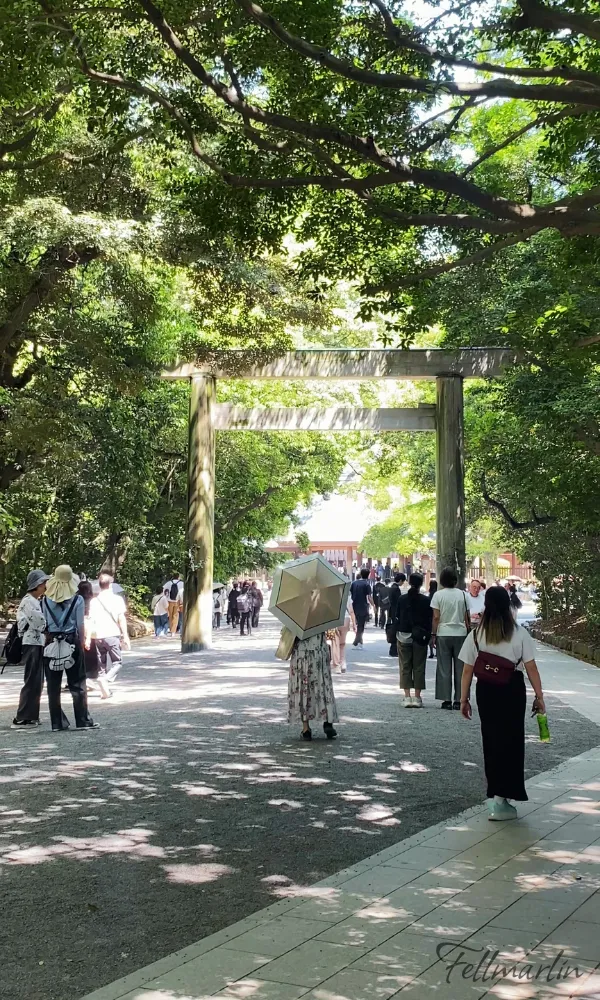 名古屋 熱田神宮 あつたじんぐう Nagoya Atsuta Jingu - 前往熱田神宮的路 森林環繞很舒適