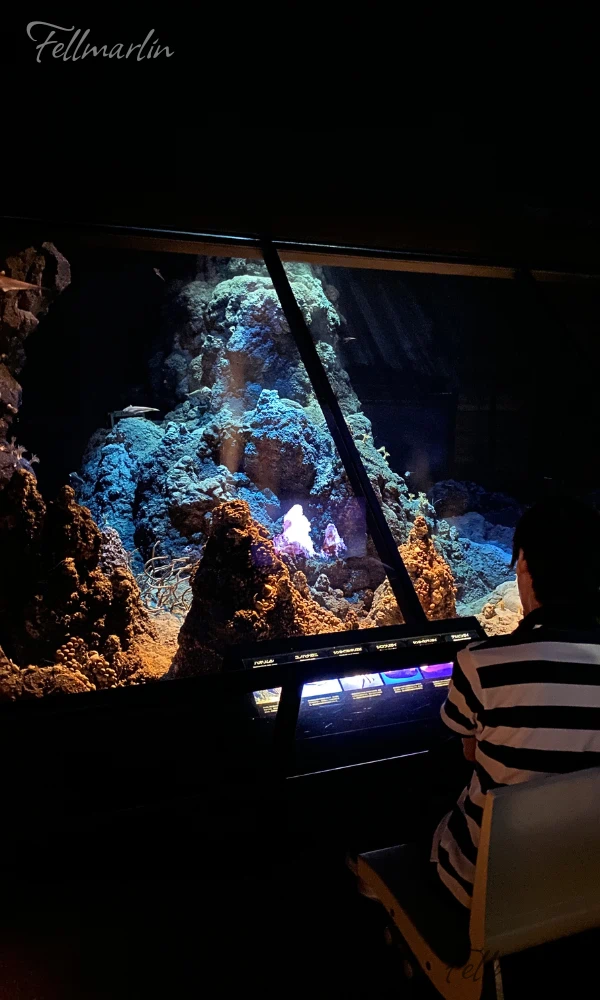 日本最大 名古屋港水族館 Nagoya Aqua なごやこうすいぞくかん 南館二樓電影區可觀賞投影
