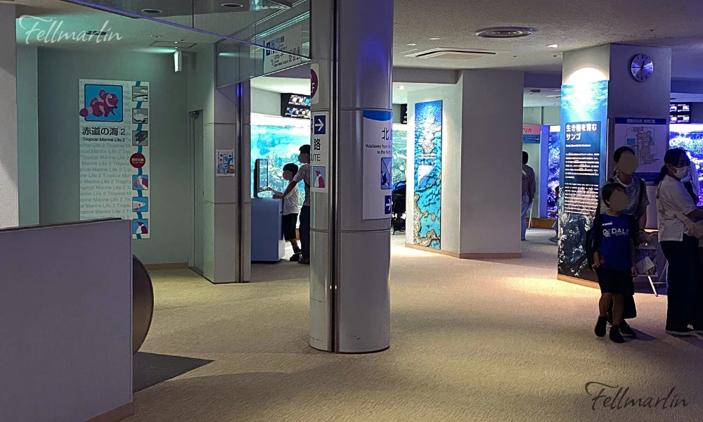 名古屋港水族館 Nagoya Aqua なごやこうすいぞくかん 南館二樓赤道之海空間區
