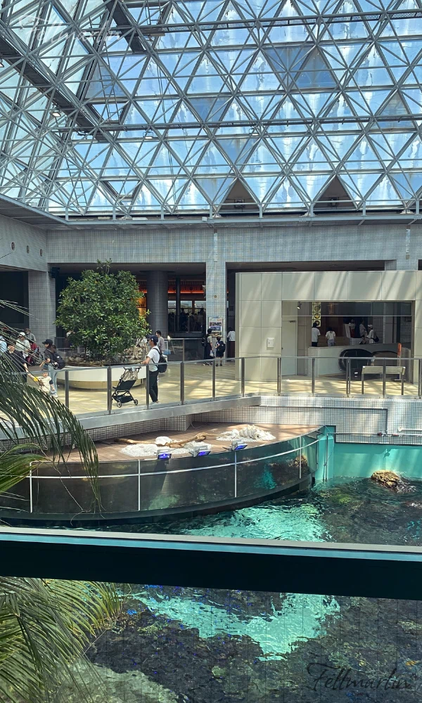日本最大名古屋港水族館 Nagoya Aqua なごやこうすいぞくかん 南館三樓 海龜池旁邊的區域