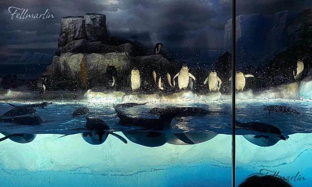 名古屋水族館 Nagoya Aqua なごやこうすいぞくかん 南館三樓南極之海企鵝水槽
