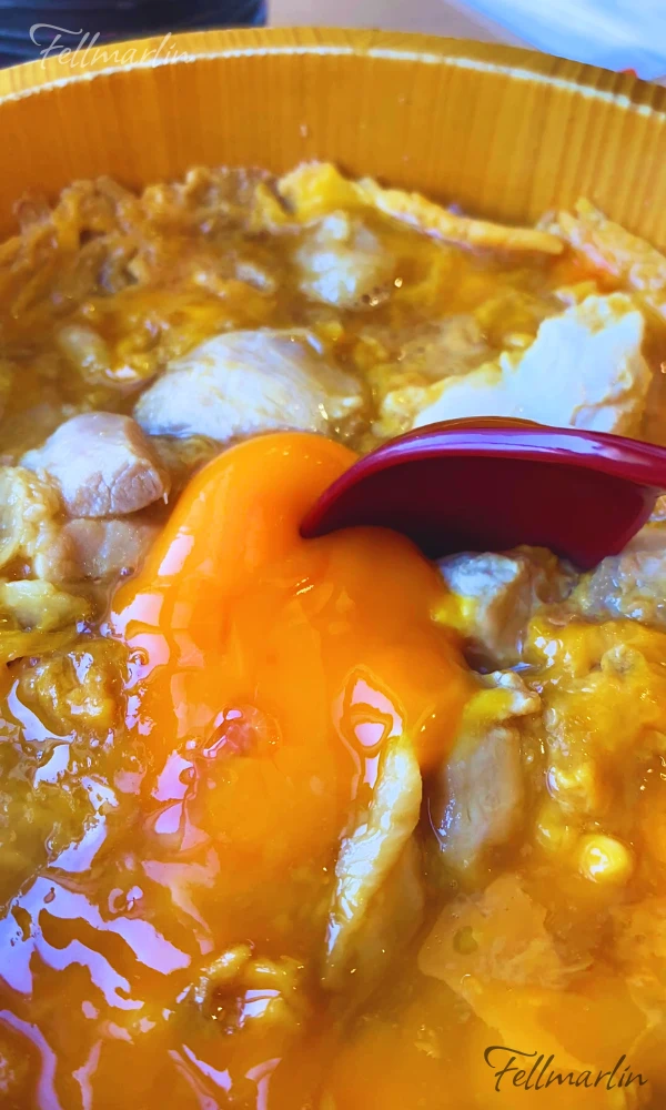 名古屋必吃 全國丼飯大賽金牌 鳥開総本家 - 滑蛋及新鮮雞肉的親子丼飯 名古屋コーチン親子丼 搭配濃郁蛋黃享用